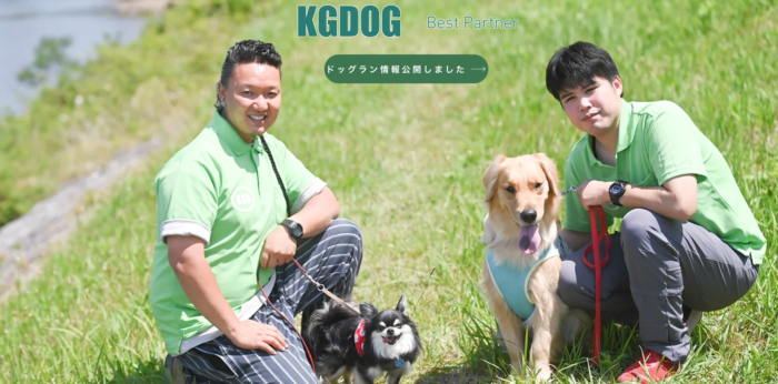 完全版】広島市の犬のしつけ教室｜おすすめのドッグトレーニング